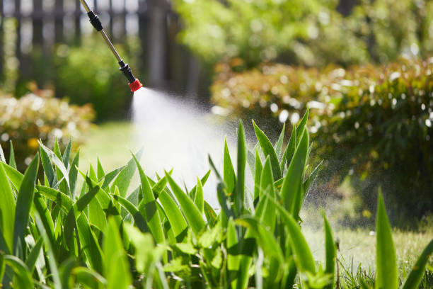 Tamper-Resistant Bait Stations for Rodents in Setauket