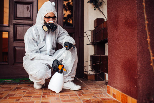 Attic and Crawl Space Rodent Treatment in Setauket