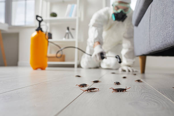 Commercial Rodent Management in Setauket